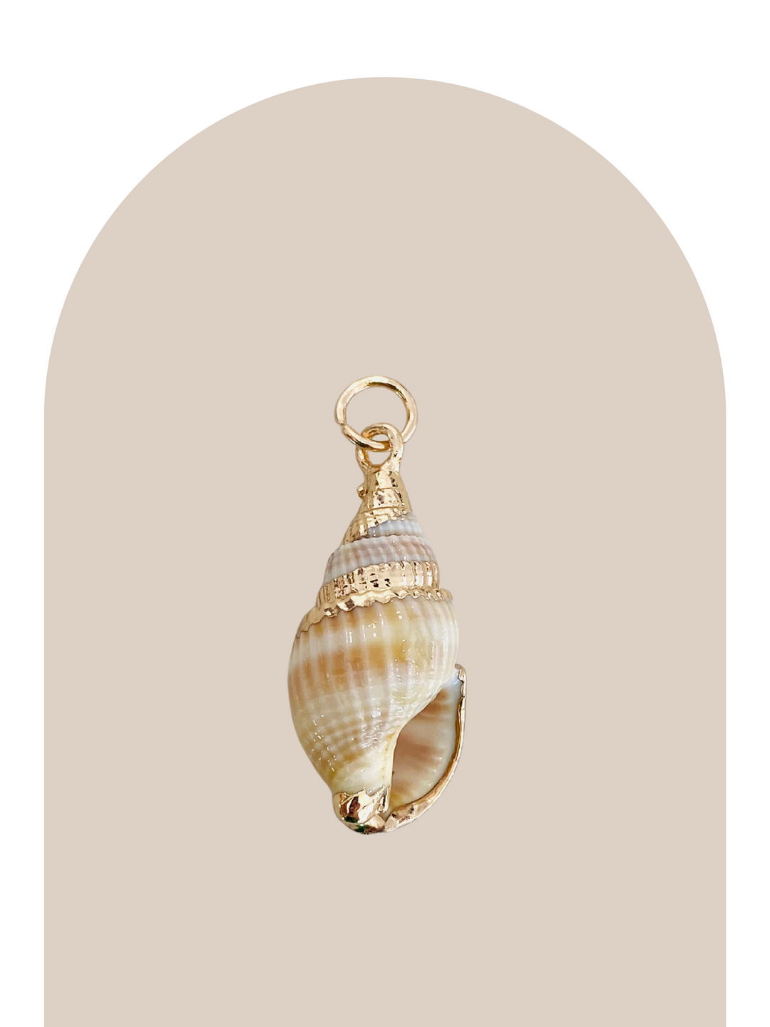 Natural Sea Shell Charm