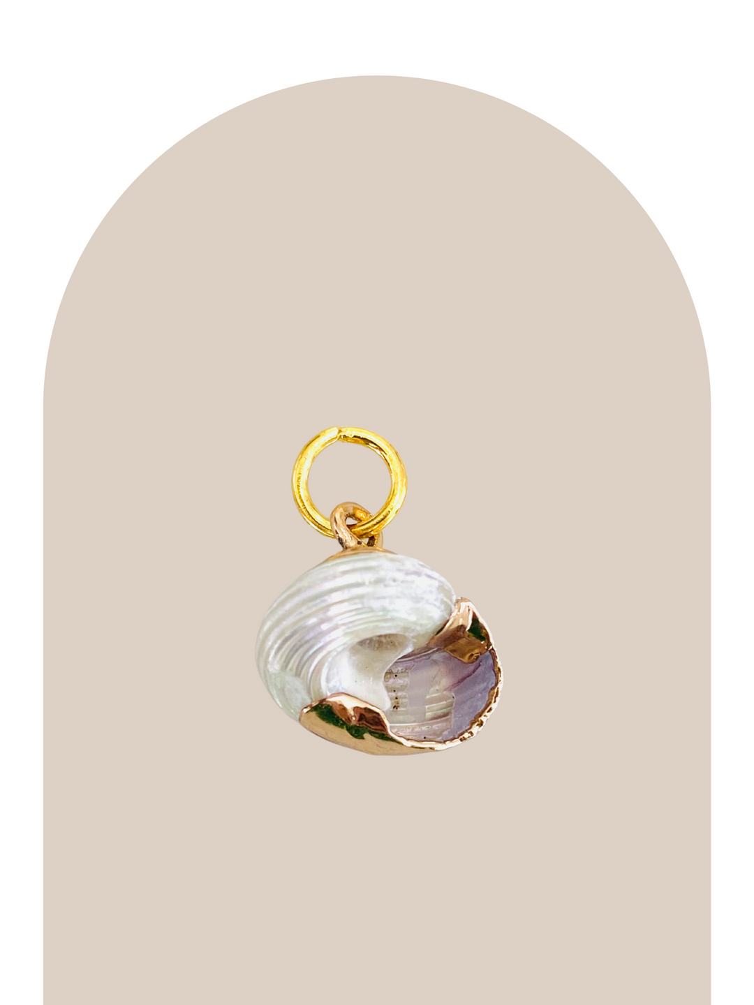 Shell Charm
