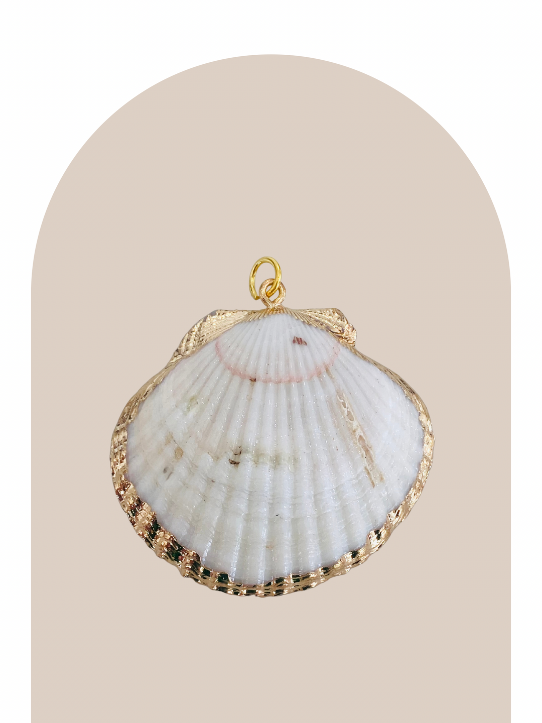 Natural Big Shell Charm