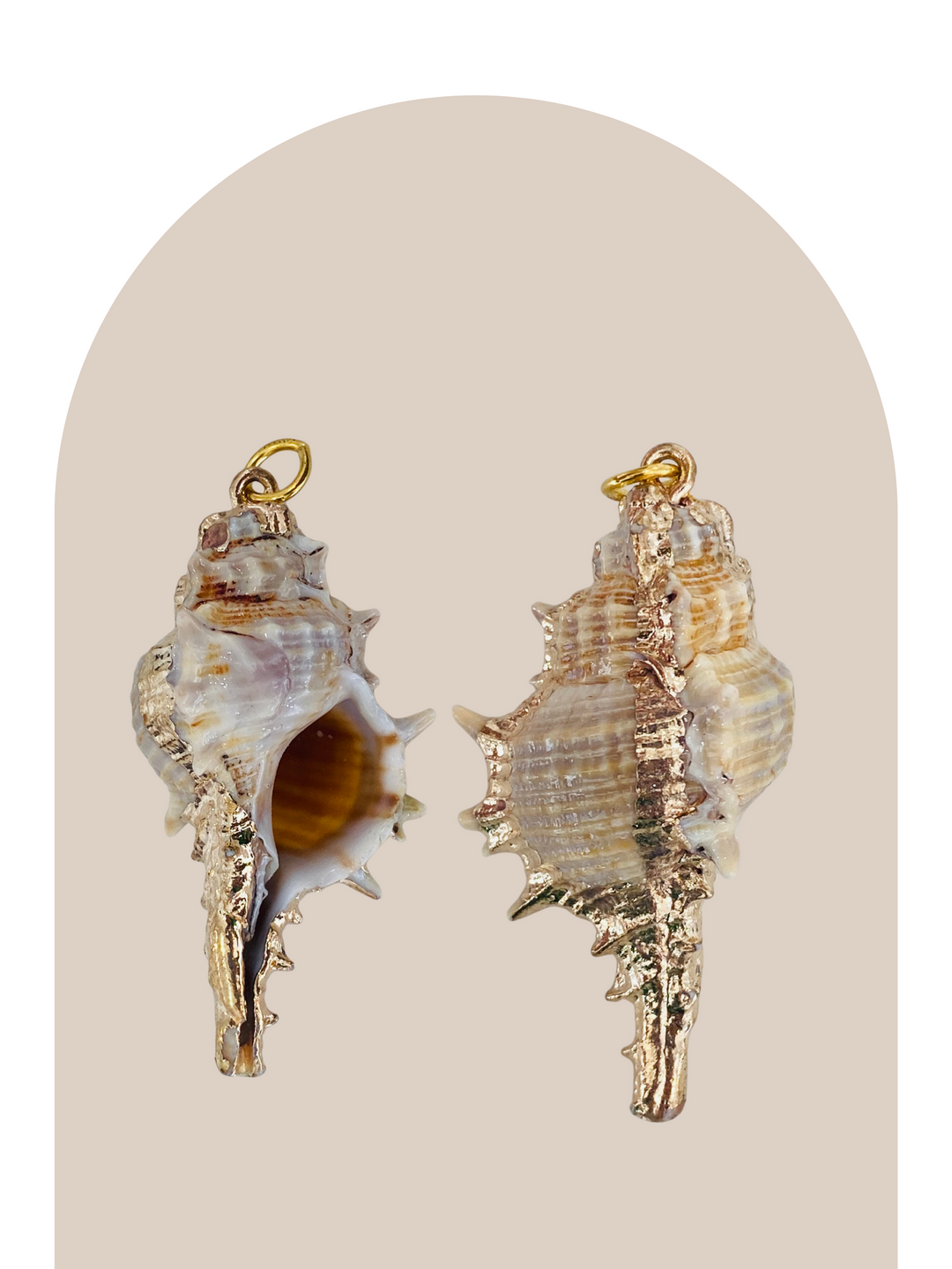 Natural Spiky Sea Shell Charm