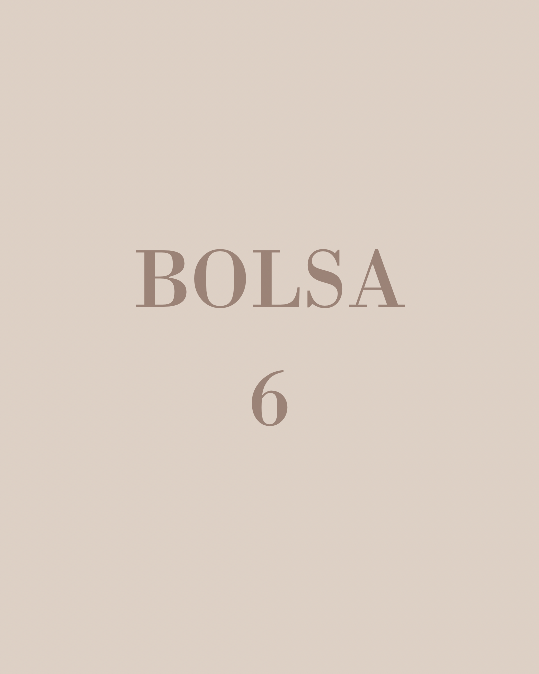 Bolsa 6