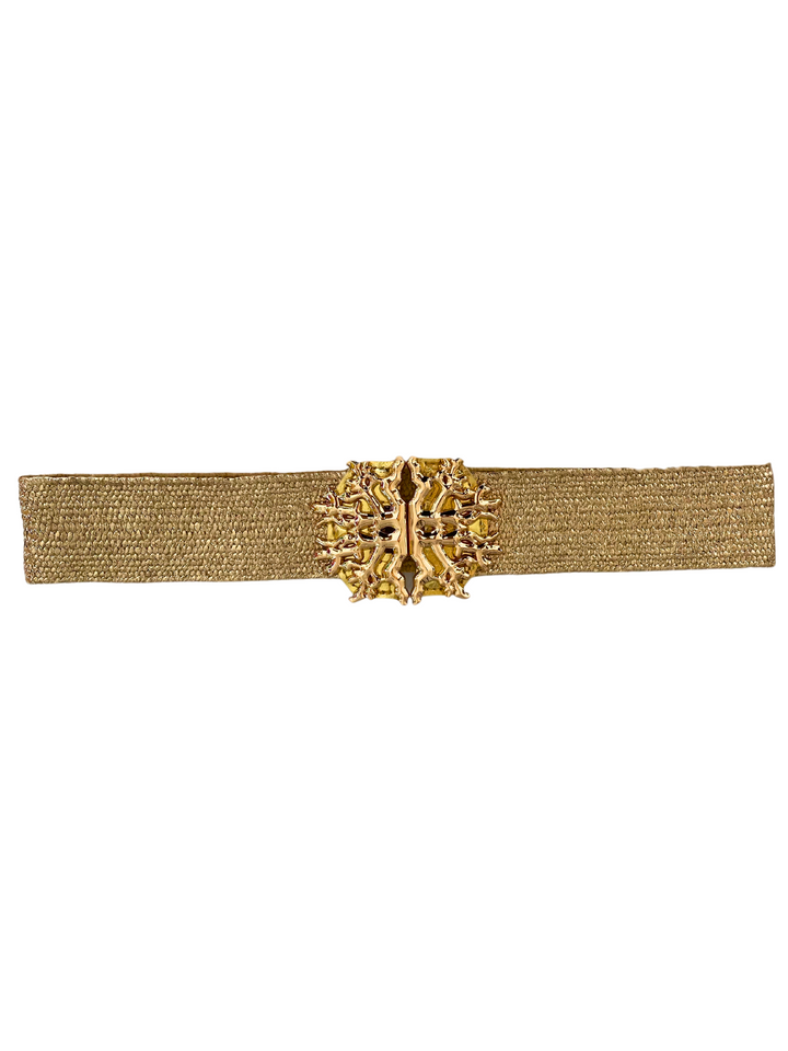 Shimmery Elastic Belt