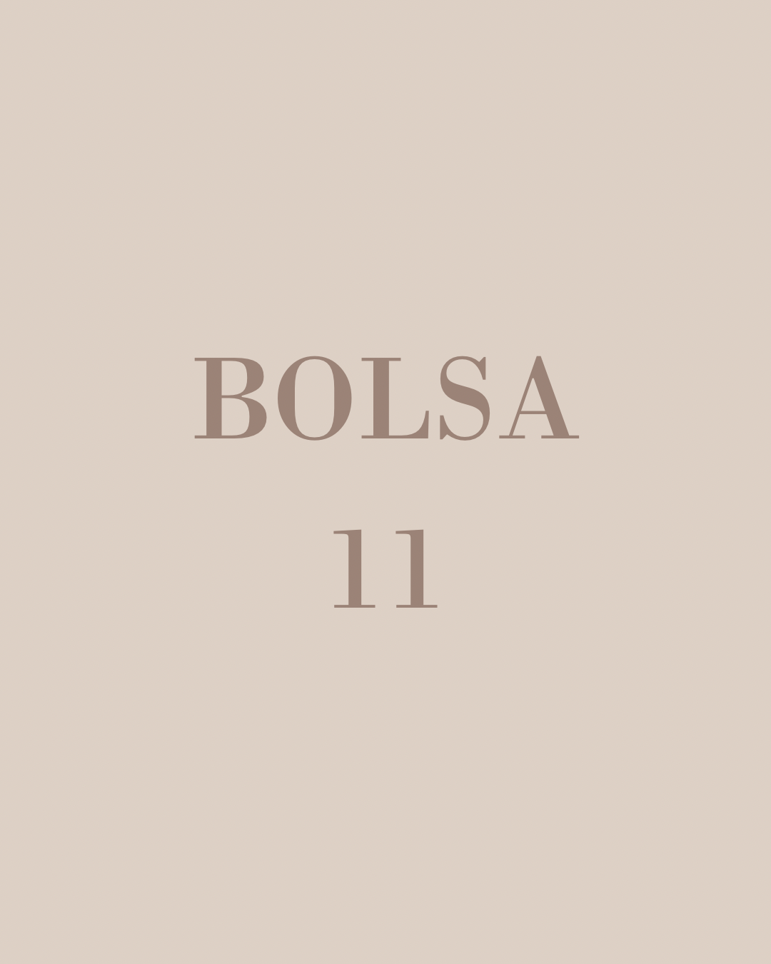 Bolsa 11