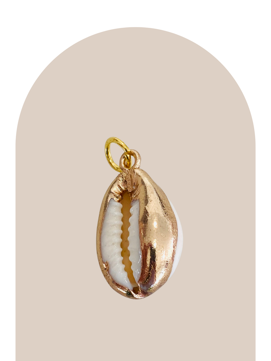 Oval Natural Seashell Charm