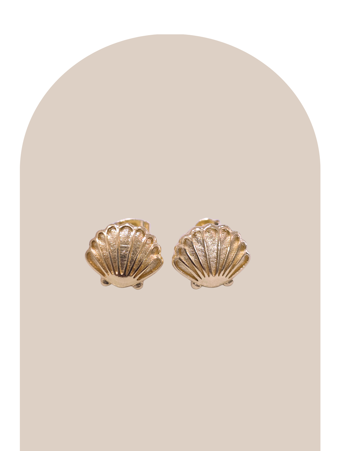 Sea Shell Studs